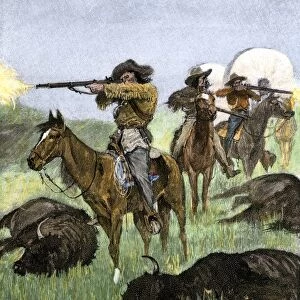 Hunting buffalo to feed a wagon train of pioneers