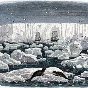 Ships off the Antarctic ice-shelf, 1800s