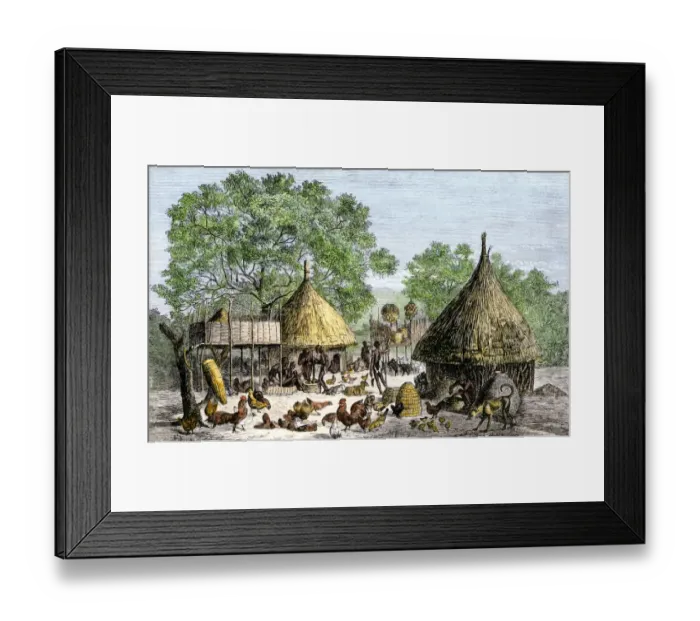 Framed Print : Daily life in an African village in the Congo basin Framed Print : Daily life in an African village in the Congo basin