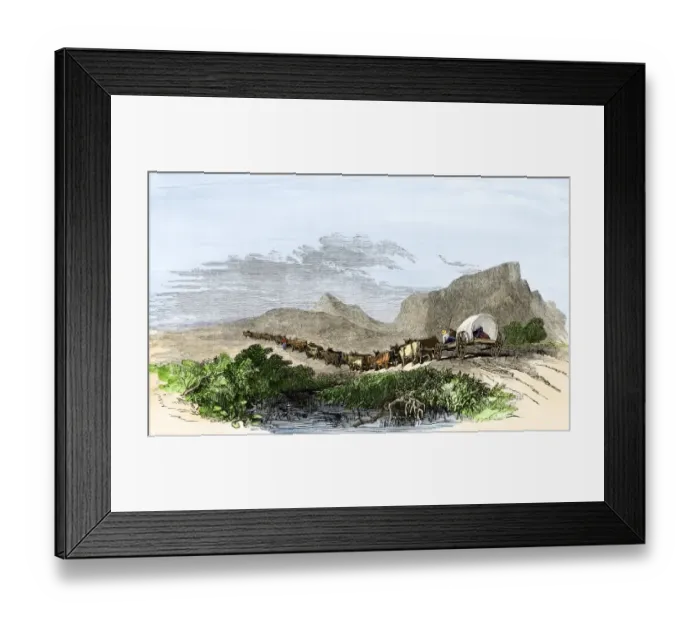 Framed Print : Cape of Good Hope wagon drawn by oxen Framed Print : Cape of Good Hope wagon drawn by oxen