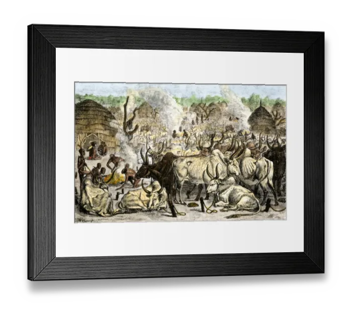 Framed Print : Cattle farm of the Dinka, a Swahili-speaking people in Africa Framed Print : Cattle farm of the Dinka, a Swahili-speaking people in Africa