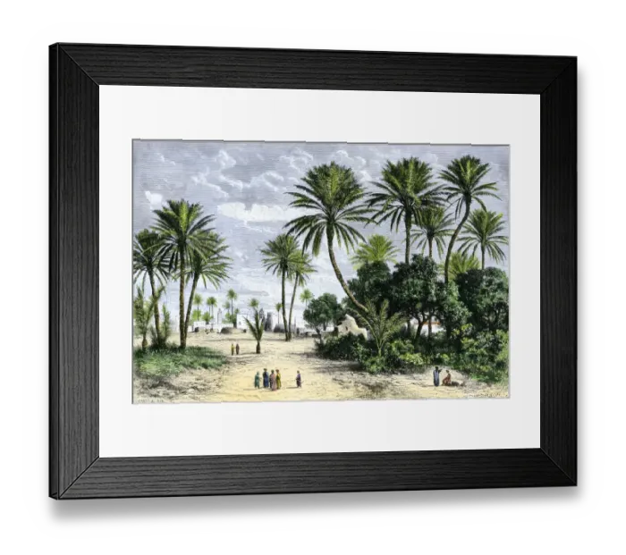 Framed Print : Oasis of Gafsa in Tunisia, North Africa Framed Print : Oasis of Gafsa in Tunisia, North Africa