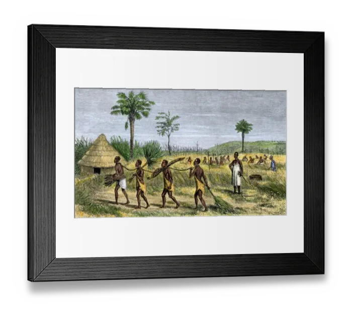 Framed Print : African slaves in Uganda, 1800s Framed Print : African slaves in Uganda, 1800s