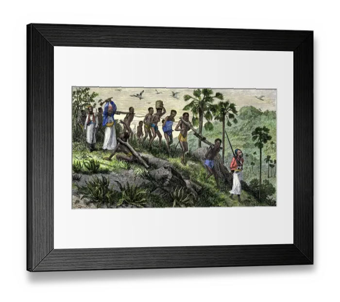Framed Print : African slave caravan on the march Framed Print : African slave caravan on the march