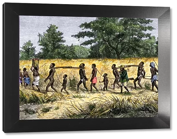 Slave caravan in Africa