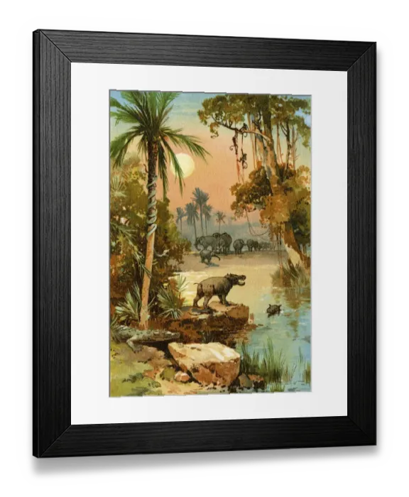 Framed Print : Congo River wildlife Framed Print : Congo River wildlife