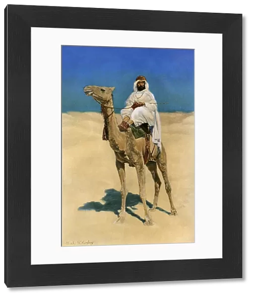 Arab on a camel