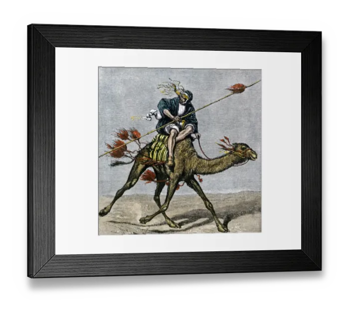Framed Print : Bedouin messenger racing across the desert on a camel