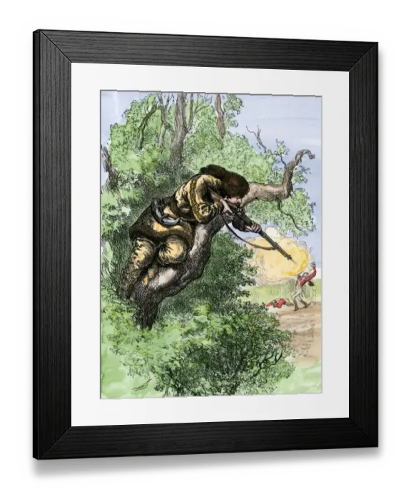 Framed Print : American marksman in a tree firing at British soldiers Framed Print : American marksman in a tree firing at British soldiers