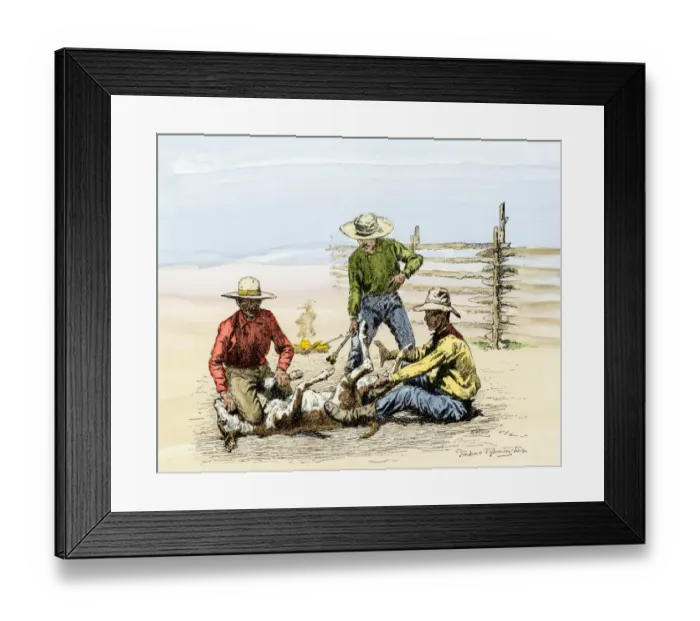 Framed Print : Three cowhands branding a calf, 1800s Framed Print : Three cowhands branding a calf, 1800s