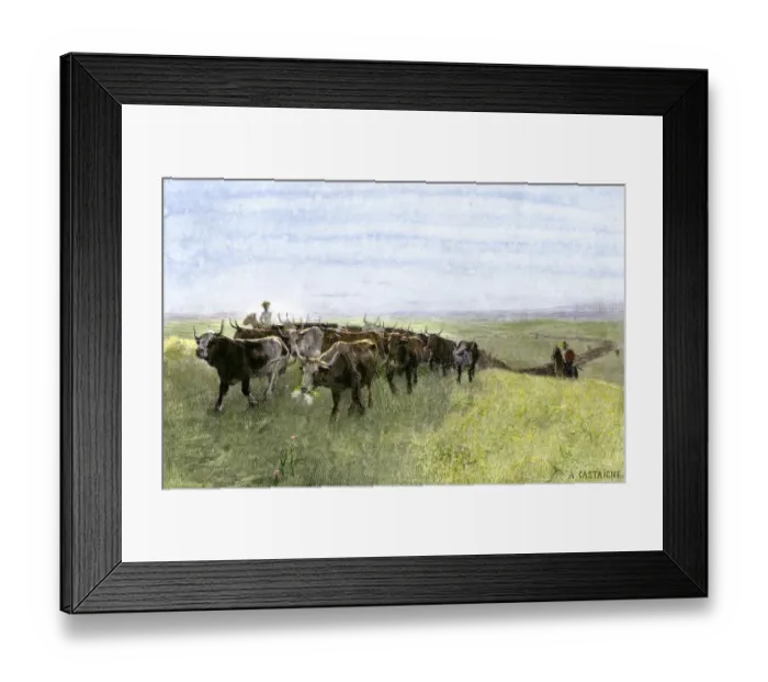 Framed Print : Cowboys driving a longhorn herd on the great cattle trail 1800s Hand-colored Framed Print : Cowboys driving a longhorn herd on the great cattle trail 1800s Hand-colored