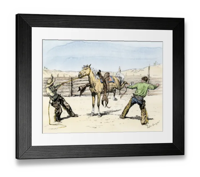 Framed Print : Cowboys saddling a bronco, 1800s
