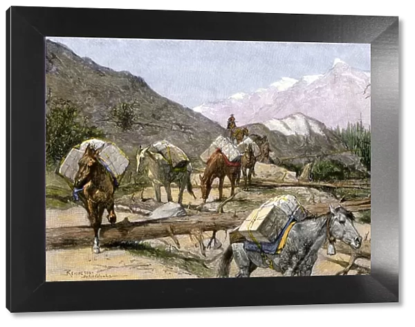 Pack horses in the Rocky Mountains, 1800s