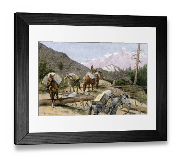 Framed Print : Pack horses in the Rocky Mountains, 1800s Framed Print : Pack horses in the Rocky Mountains, 1800s