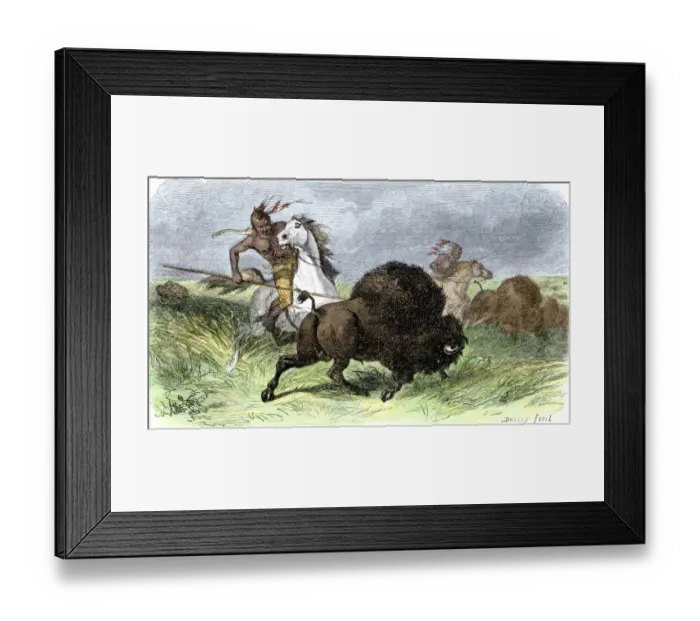 Framed Print : Plains Indians on horseback hunting buffalo Framed Print : Plains Indians on horseback hunting buffalo