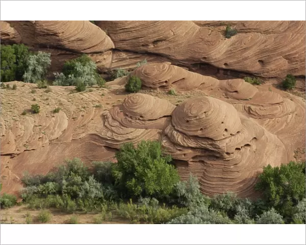 Sandstone shapes in Canyon de Chelly, Arizona