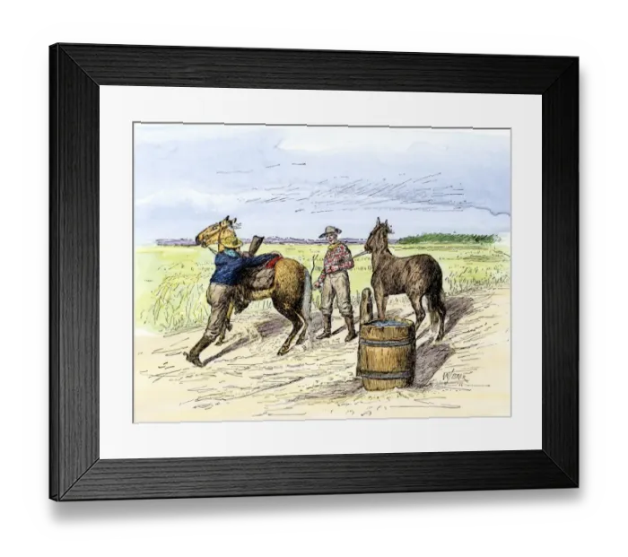 Framed Print : Pony Express rider changing horses at a relay station Framed Print : Pony Express rider changing horses at a relay station
