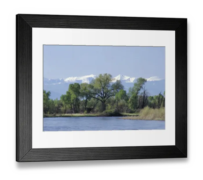 Framed Print : Madison River near its junction to form the Missouri River, Montana