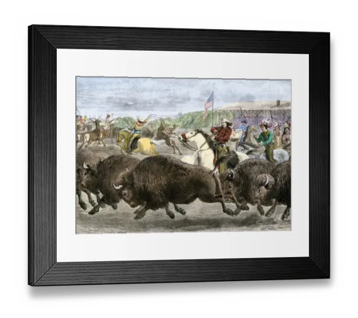 Framed Print : Buffalo Bill Codys Wild West Show hunting bison and elk Framed Print : Buffalo Bill Codys Wild West Show hunting bison and elk
