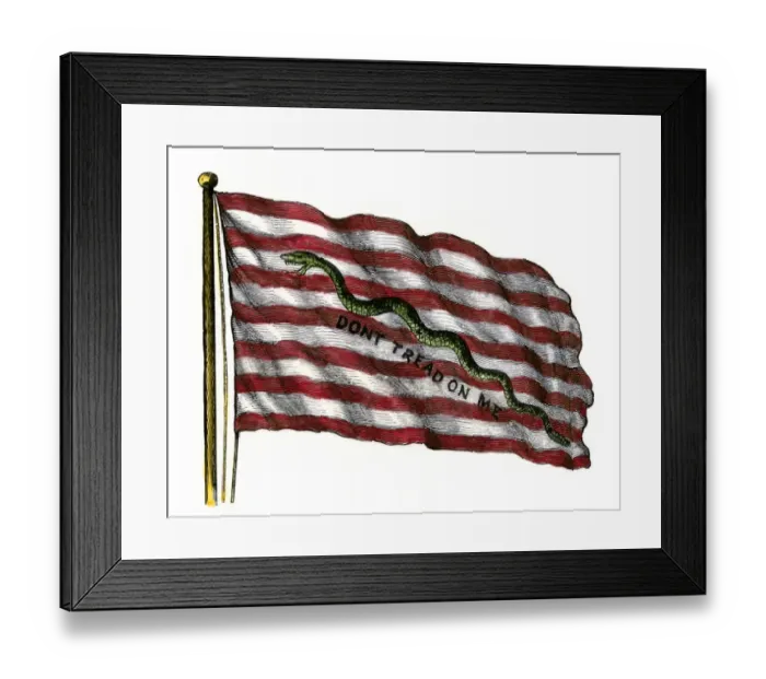 Framed Print : Colonists Rattlesnake Flag with Don t Tread on Me slogan Framed Print : Colonists Rattlesnake Flag with Don t Tread on Me slogan