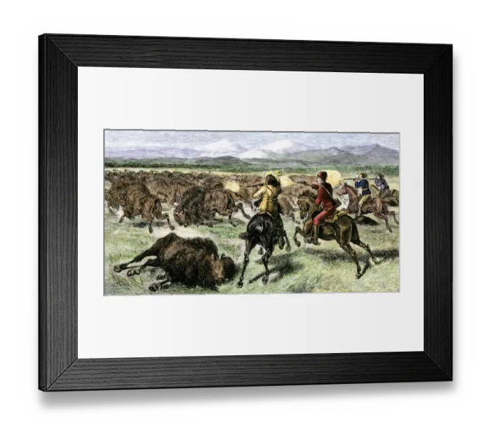 Framed Print : Shooting bison for sport, 1880s Framed Print : Shooting bison for sport, 1880s