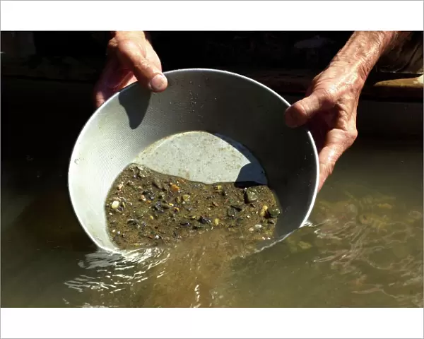 Panning for gold, California