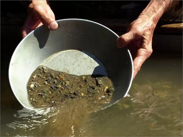 Panning for gold, California