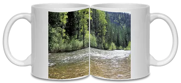 Lolo Creek in the Bitterroot Range, Montana
