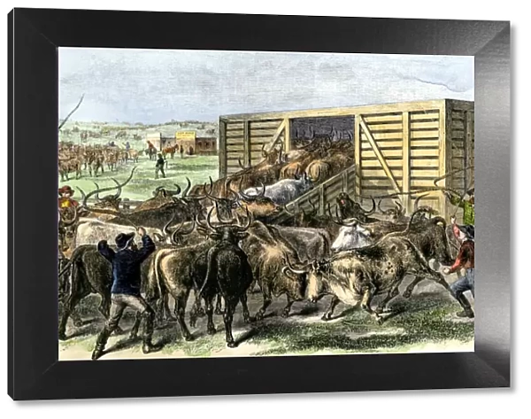 Cattle loaded on the railroad at Abilene, Kansas, 1870s