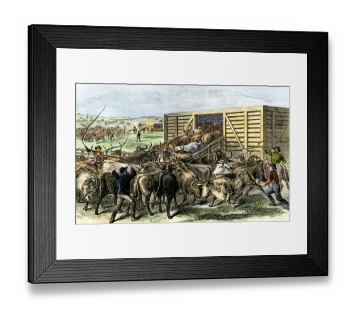 Framed Print : Cattle loaded on the railroad at Abilene, Kansas, 1870s Framed Print : Cattle loaded on the railroad at Abilene, Kansas, 1870s