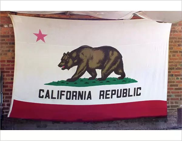 Bear Flag of the California Republic