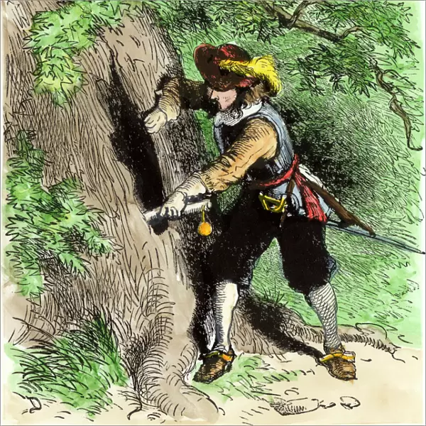 Hiding the Connecticut charter in an oak tree, 1687