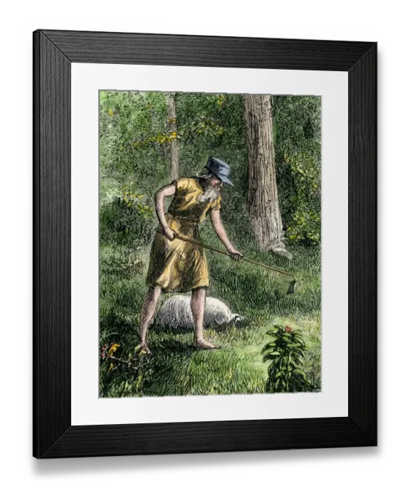 Framed Print : Johnny Appleseed planting apple trees in the Ohio wilderness Framed Print : Johnny Appleseed planting apple trees in the Ohio wilderness