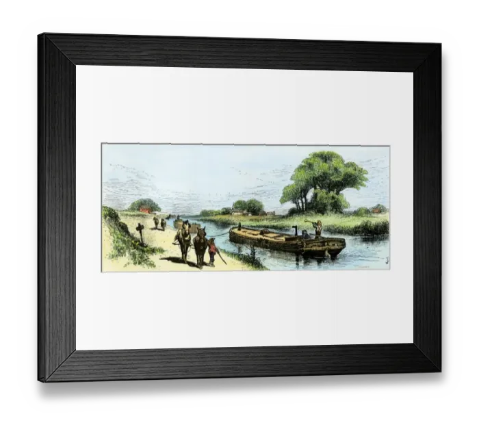 Framed Print : Mules towing a barge on the Erie Canal Framed Print : Mules towing a barge on the Erie Canal