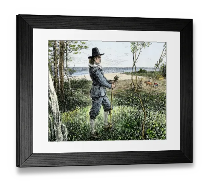 Framed Print : Pilgrim settlement at Plymouth, Massachusetts Framed Print : Pilgrim settlement at Plymouth, Massachusetts