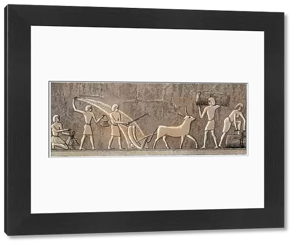 Ancient Egyptian agriculture