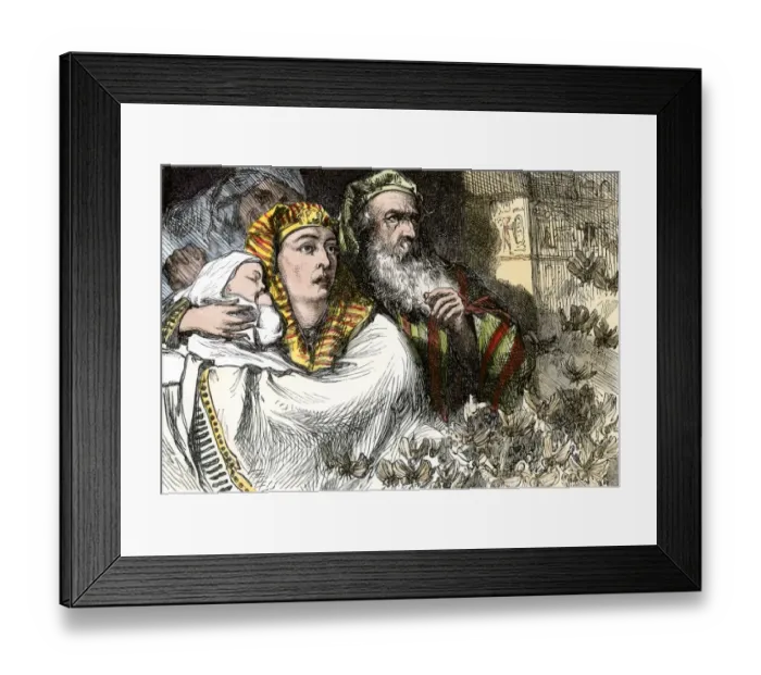 Framed Print : Locust invasion of ancient Egypt Framed Print : Locust invasion of ancient Egypt