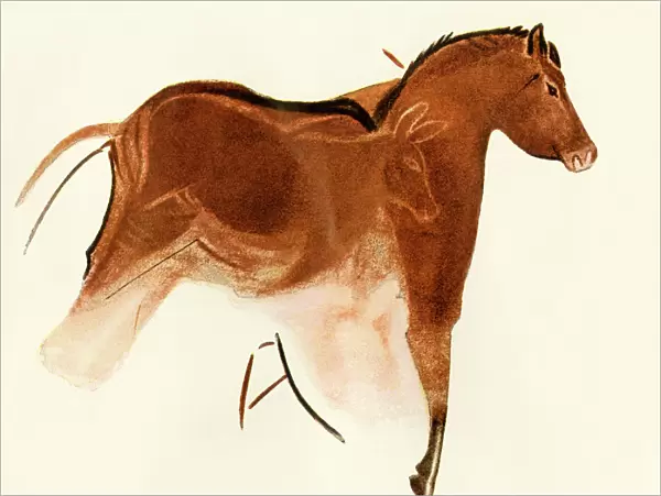 Prehistoric cave art of a horse with foal, Altamira, Spain