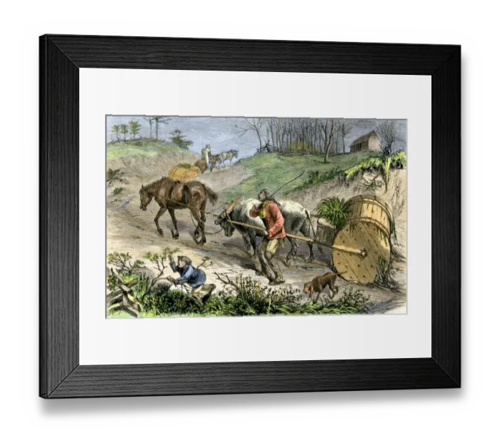 Framed Print : Bringing tobacco to market in early Virginia Framed Print : Bringing tobacco to market in early Virginia