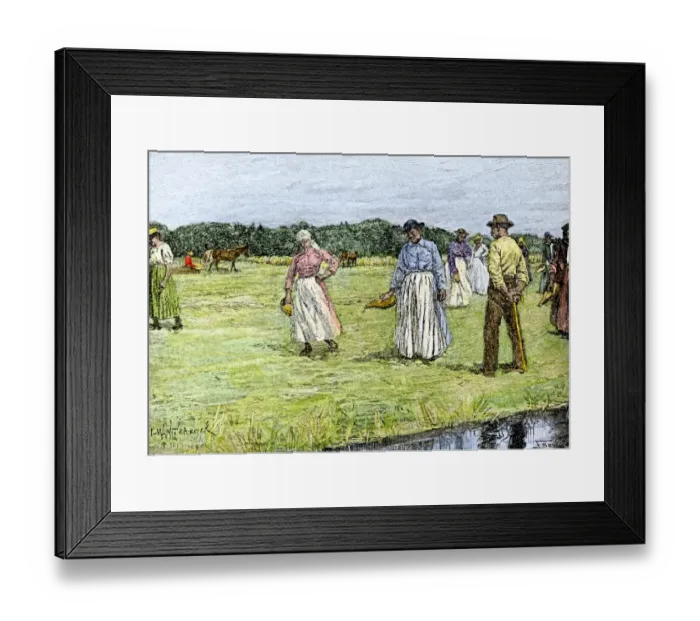Framed Print : Slaves planting rice in North Carolina, 1800s Framed Print : Slaves planting rice in North Carolina, 1800s