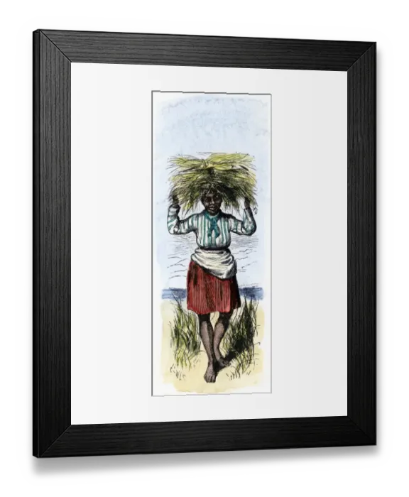 Framed Print : African-American woman carrying sheaves on a rice plantation