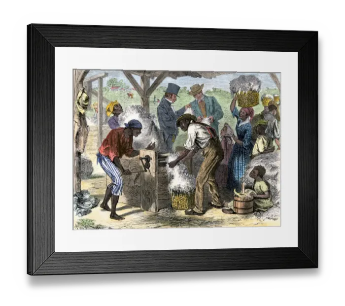 Framed Print : Cotton gin in use by African-American slaves in the South Framed Print : Cotton gin in use by African-American slaves in the South