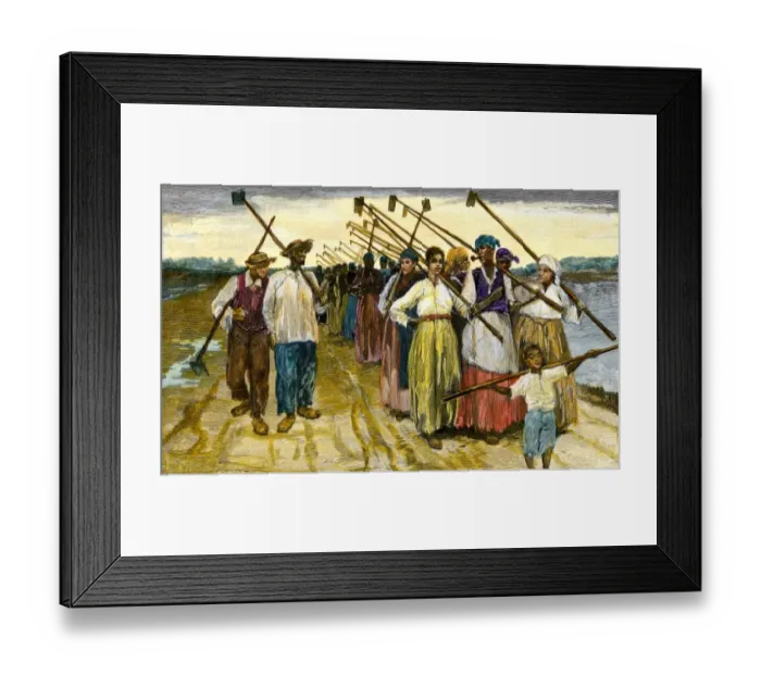 Framed Print : African-American slaves returning from the fields at twilight on a sugar Framed Print : African-American slaves returning from the fields at twilight on a sugar