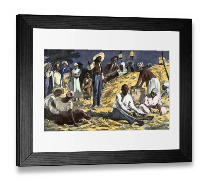 Framed Print : Slaves husking corn on a plantation Framed Print : Slaves husking corn on a plantation