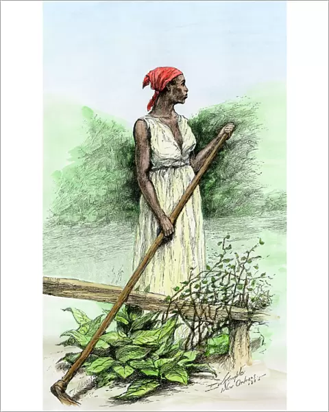 Black slave on a sugar plantation