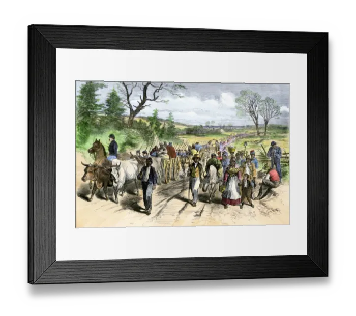 Framed Print : Freed slaves escaping after the Emancipation Proclamation Framed Print : Freed slaves escaping after the Emancipation Proclamation