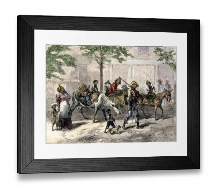 Framed Print : Former slaves fleeing to Kansas from yellow fever outbreak in South Framed Print : Former slaves fleeing to Kansas from yellow fever outbreak in South
