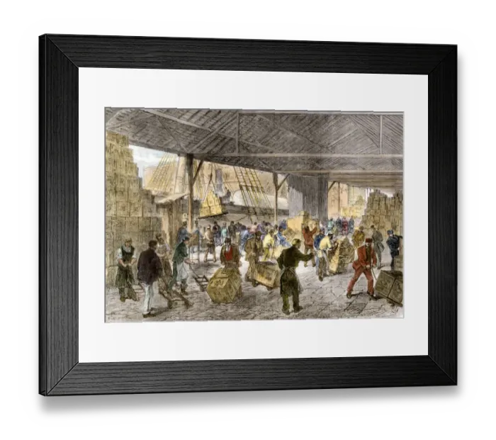 Framed Print : Unloading tea-ships in the British East India Companys docks Framed Print : Unloading tea-ships in the British East India Companys docks