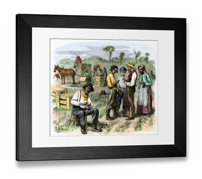 Framed Print : African-American workers collecting pay after harvesting strawberries in