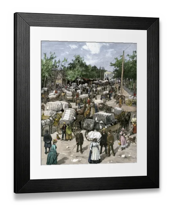 Framed Print : Cotton bales brought into a Georgia market town, 1880s Framed Print : Cotton bales brought into a Georgia market town, 1880s